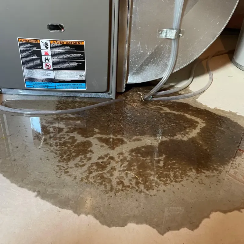 Appliance Leak Cleanup in Lake of the Woods County, MN