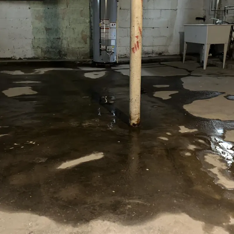 Emergency Water Extraction And Removal in Lake of the Woods County, MN